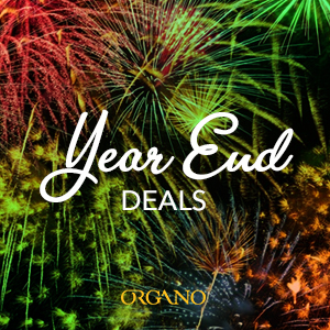 Year-End Deals